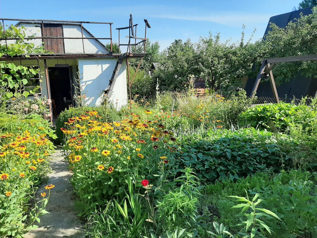 Działka rod Olsztyn. Zdjęcie 2