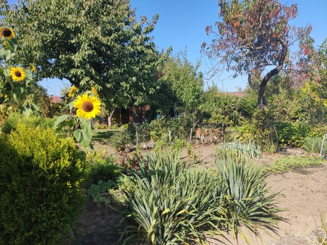 Działka rekreacyjna Ostrzeszów, ul. Kąpielowa. Zdjęcie 1