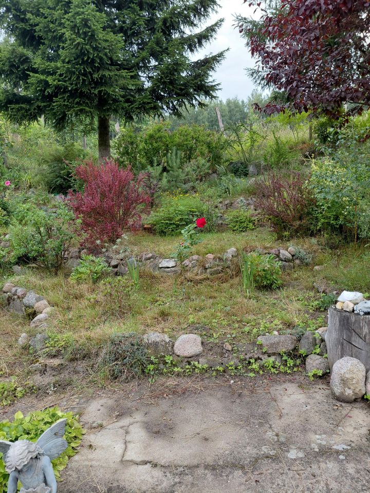 dom wolnostojący, 4 pokoje Sierpowo. Zdjęcie 27