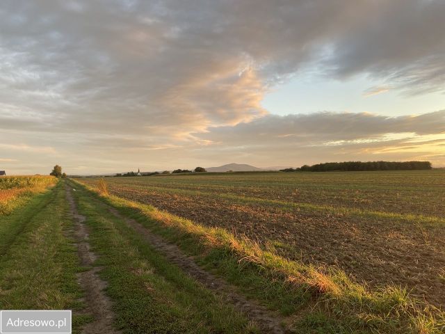 Działka budowlana Będkowice, ul. Wolności. Zdjęcie 1