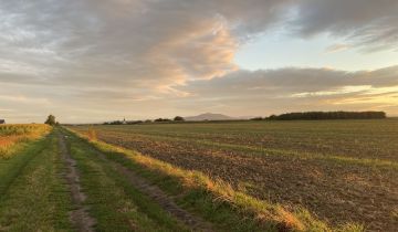 Działka budowlana Będkowice, ul. Wolności