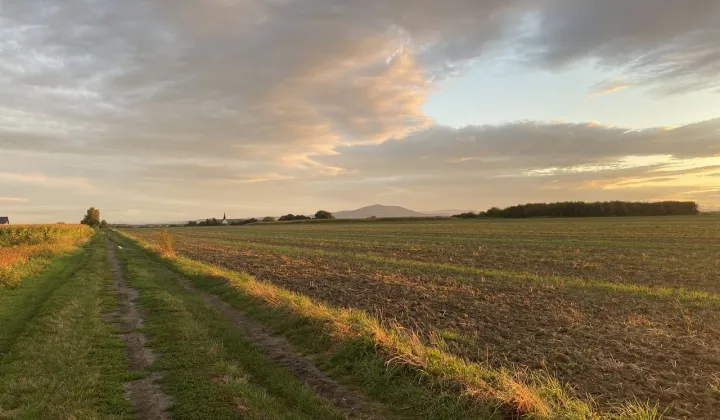 Działka budowlana Będkowice, ul. Wolności