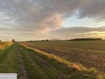 Działka budowlana Będkowice, ul. Wolności