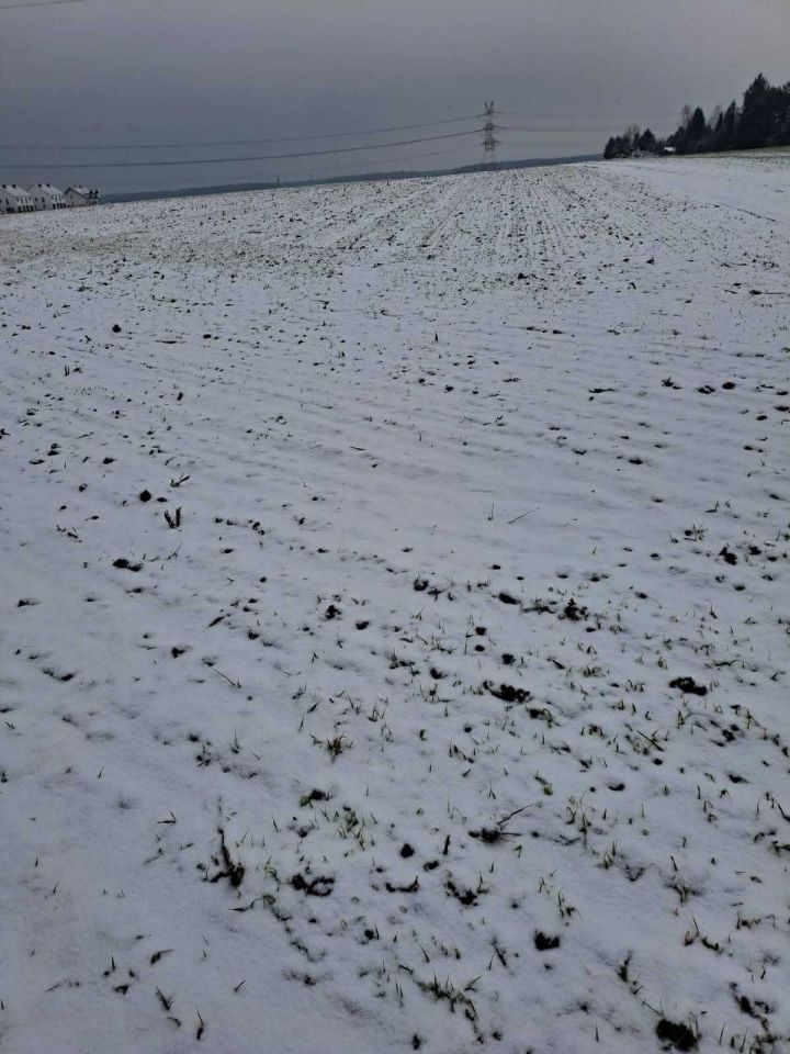 Działka budowlana Daszewice. Zdjęcie 3