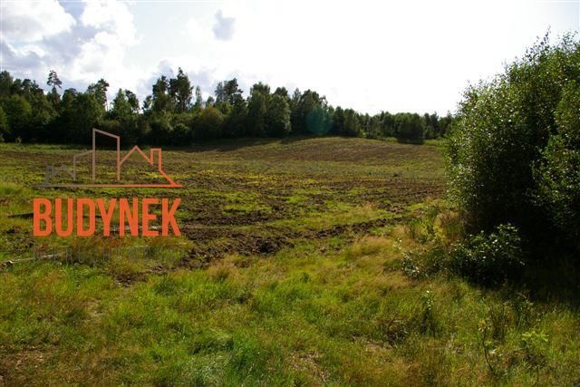Działka rolna Lejkowo. Zdjęcie 10