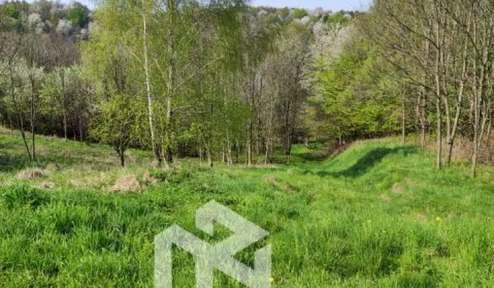 Działka rolna Lubenia