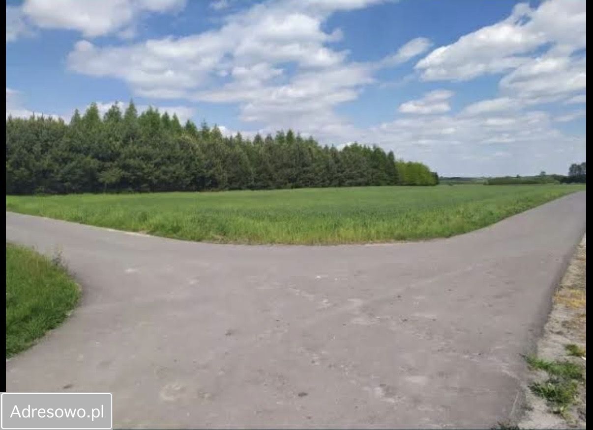 Działka rolna Konary. Zdjęcie 1