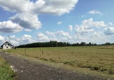 Działka budowlana Budy Ciepielińskie. Zdjęcie 1