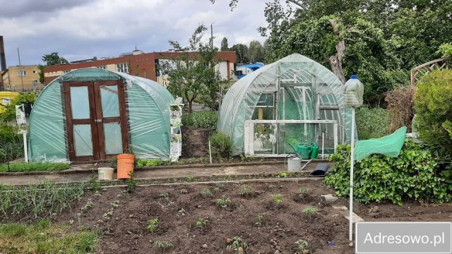 Działka rod Szczecin Pomorzany, ul. Białowieska. Zdjęcie 1