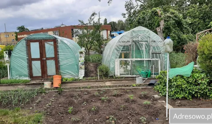 Działka rod Szczecin Pomorzany, ul. Białowieska