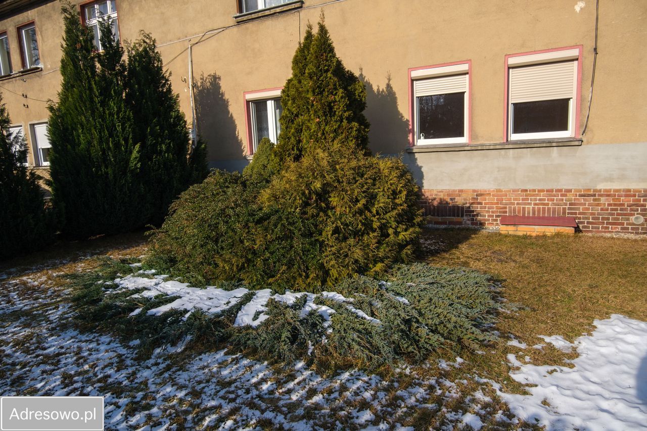 Mieszkanie 3-pokojowe Zielona Góra Centrum. Zdjęcie 11