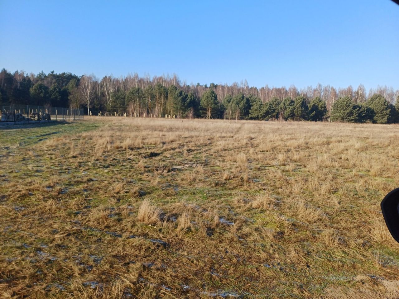 Działka budowlana Kostrzyn nad Odrą Drzewice, ul. Bursztynowa. Zdjęcie 1