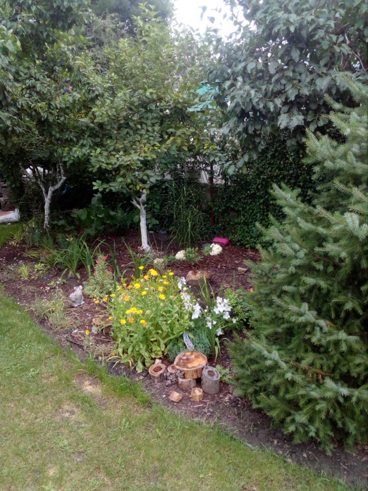 Działka rod Wrocław Ołbin, ul. Stefana Jaracza, Bolesława Prusa. Zdjęcie 5