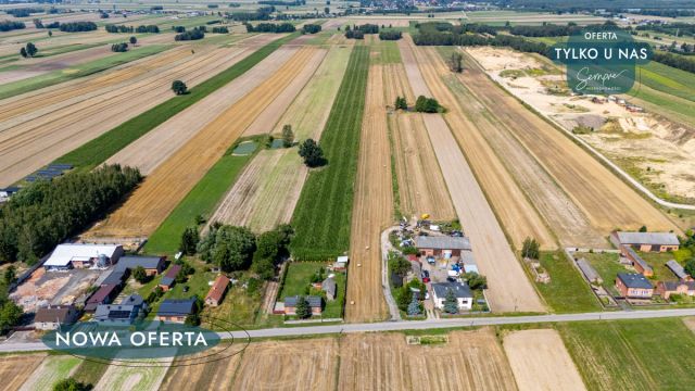 Działka rolna Dalków. Zdjęcie 5