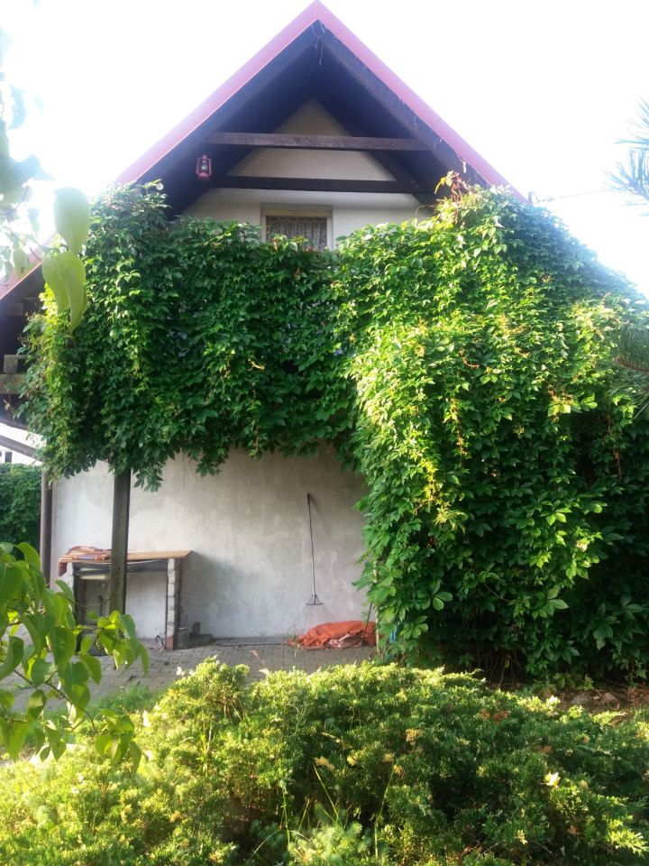 dom wolnostojący, 2 pokoje Kruklanki, ul. 22 Lipca. Zdjęcie 7