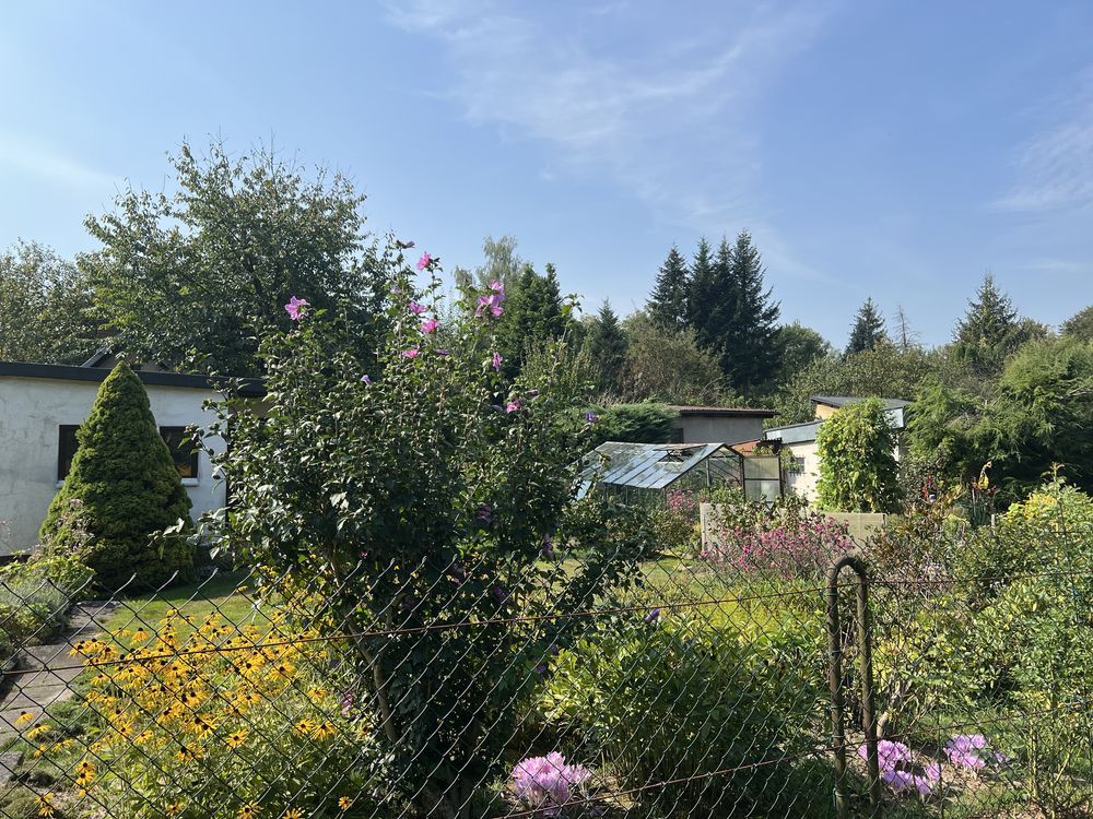 Działka rod Kraków Przegorzały, ul. Rybna. Zdjęcie 3