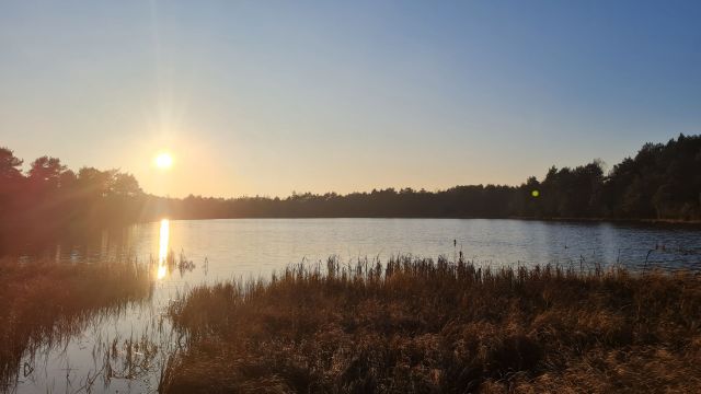 Działka inwestycyjna Lidzbark. Zdjęcie 1