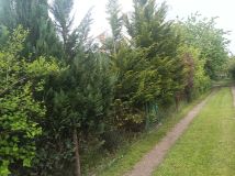 Działka rod Warszawa Mokotów. Zdjęcie 3