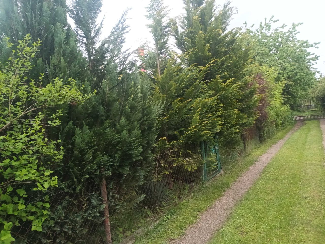 Działka rod Warszawa Mokotów. Zdjęcie 4