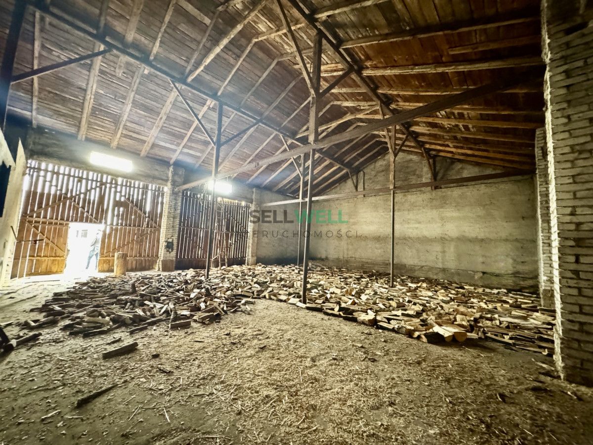 Działka siedliskowa Gutków. Zdjęcie 10