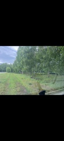 Działka budowlana Golce. Zdjęcie 1