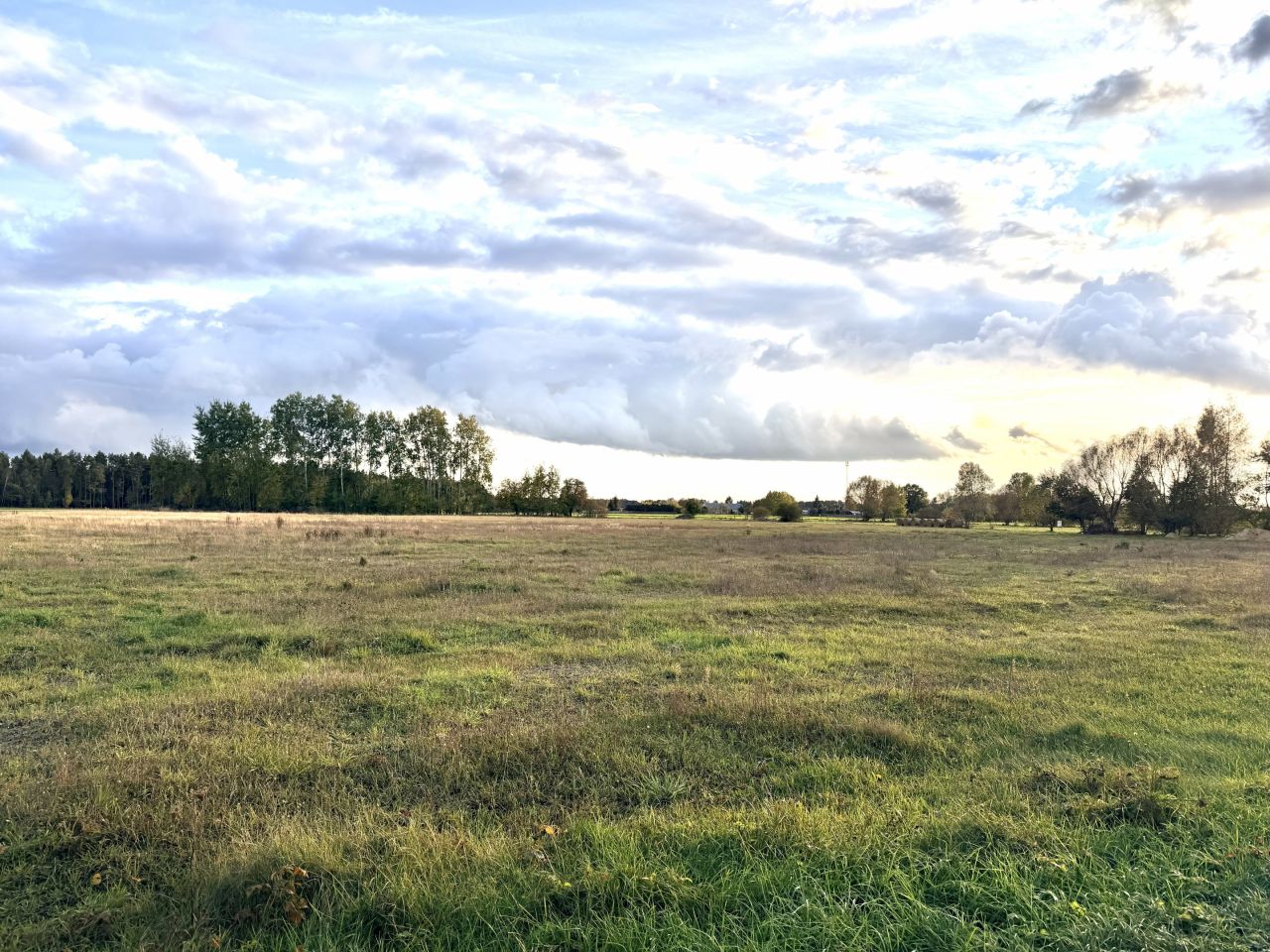 Działka budowlana Napiórki Butne. Zdjęcie 10