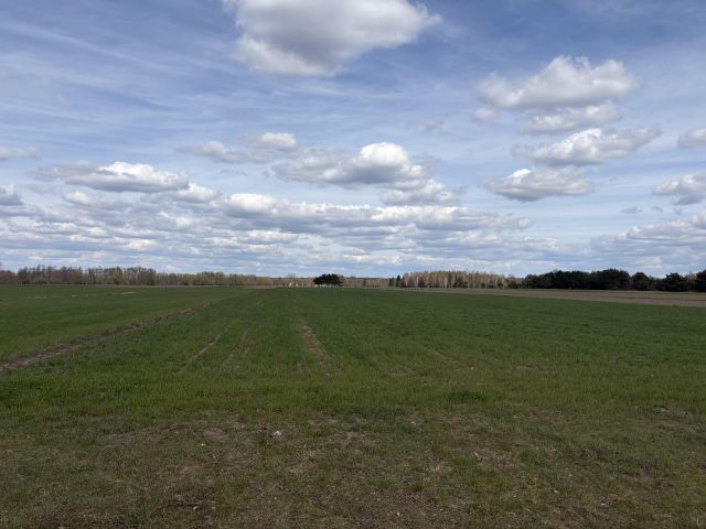 Działka rolno-budowlana Nowe Ręczaje. Zdjęcie 1