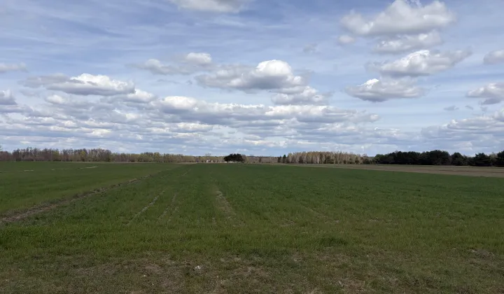 Działka rolno-budowlana Nowe Ręczaje, bez nazwy