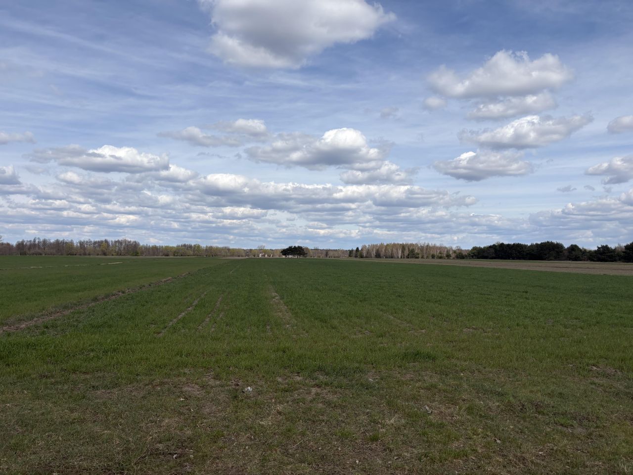 Działka rolno-budowlana Nowe Ręczaje. Zdjęcie 1