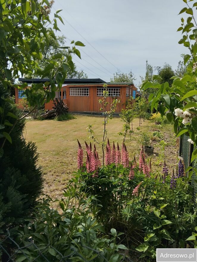 Działka rod Bytom Stolarzowice, ul. Paczyńska. Zdjęcie 3