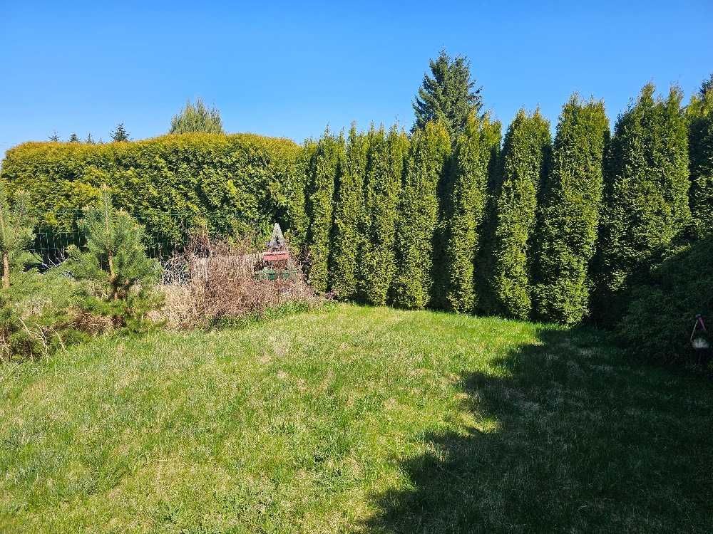 Działka rod Szczecin Krzekowo, ul. Waleriana Łukasińskiego. Zdjęcie 7