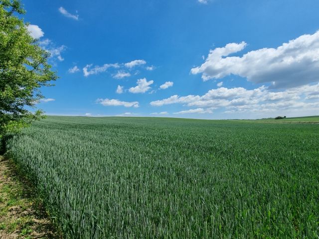 Działka budowlana Oborniki Śląskie, ul. Wolności. Zdjęcie 7