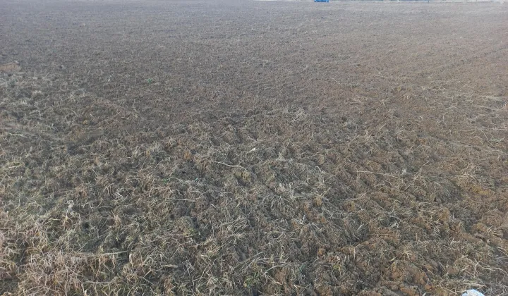 Działka budowlana Choinek, Choinek