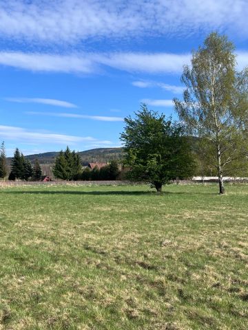 Działka budowlana Orłowice. Zdjęcie 5