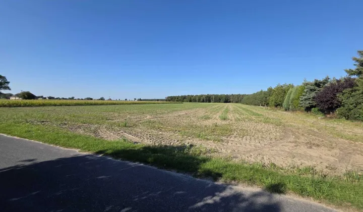 Działka rolna Popielewo