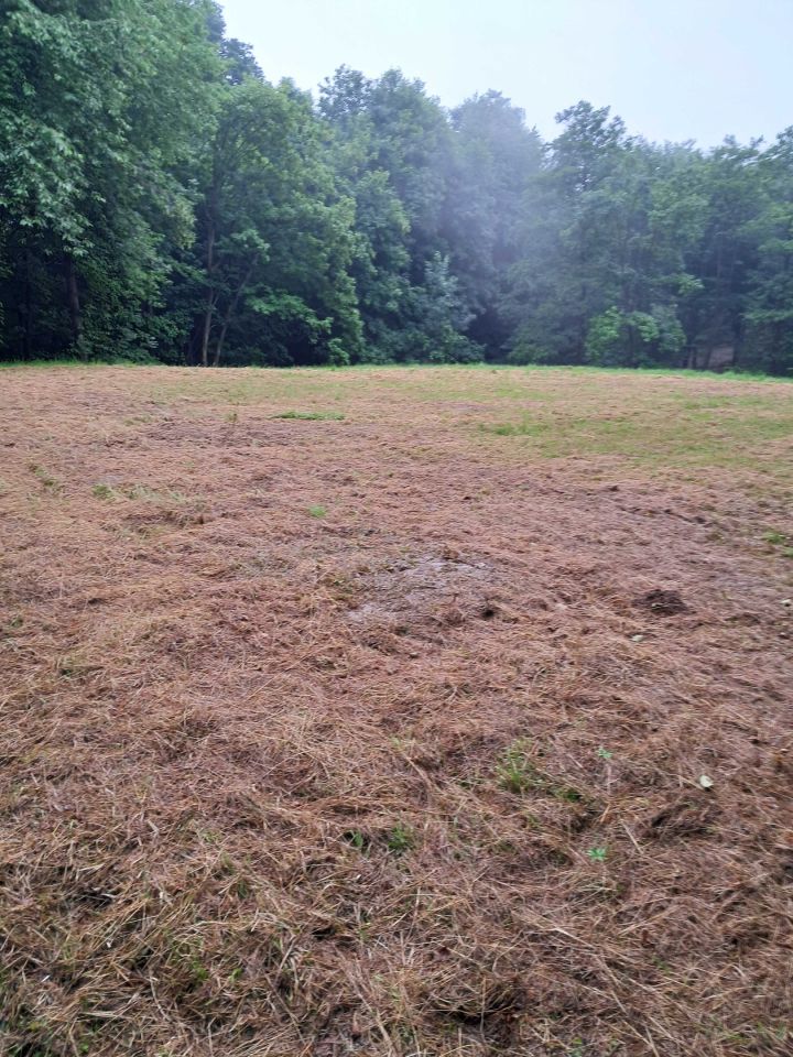 Działka budowlana Rzeszów. Zdjęcie 4