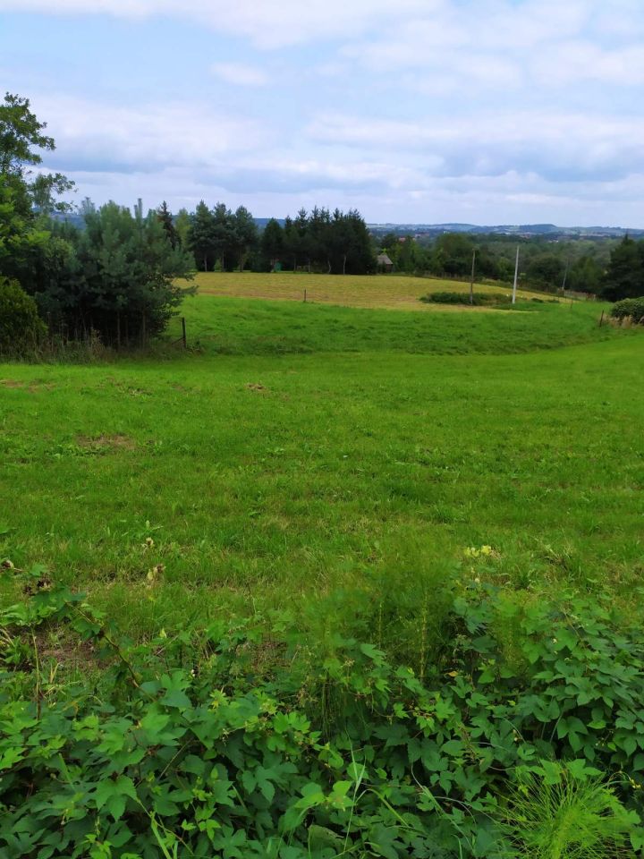 Działka rekreacyjna Zręczyce. Zdjęcie 9