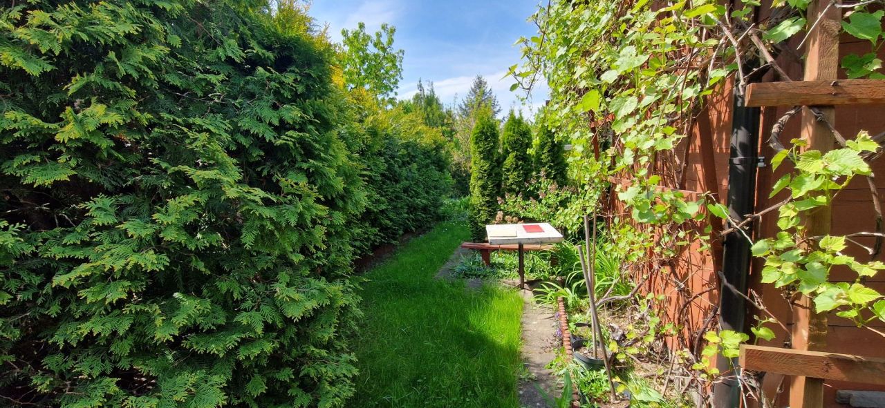 Działka rod Konin, ul. Świętojańska. Zdjęcie 3