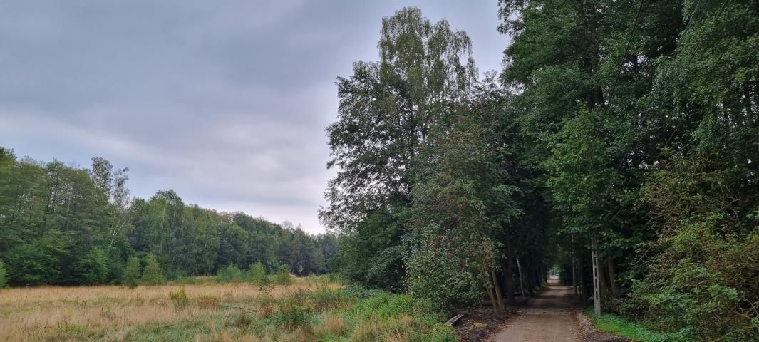 Działka budowlana Owczarnia. Zdjęcie 2