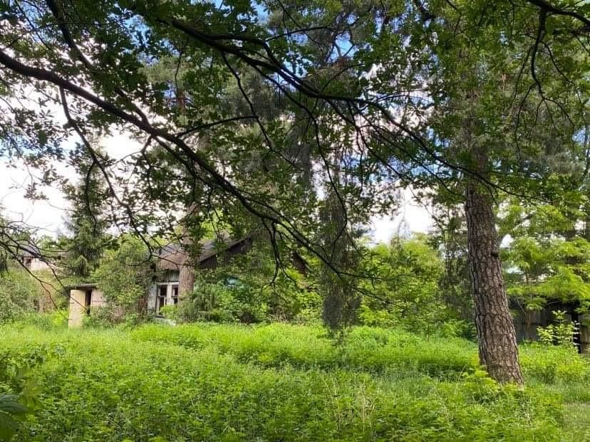 Działka budowlana Głowno Swoboda, ul. Swoboda. Zdjęcie 8