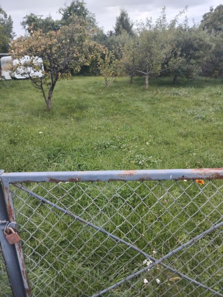 Zdjęcie 8