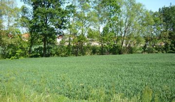 Działka rolna Słupice