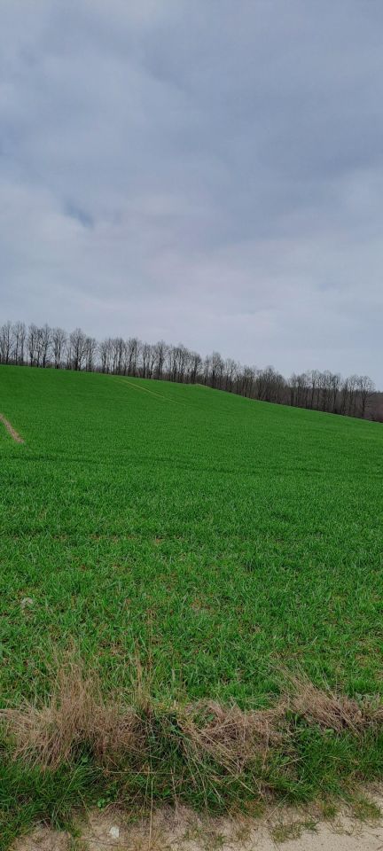 Działka budowlana Karbowo, ul. Myśliwska. Zdjęcie 3