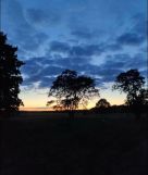 Działka budowlana Drzewce. Zdjęcie 2