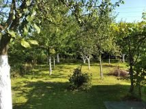 Działka rod Racibórz, ul. Opawska. Zdjęcie 4