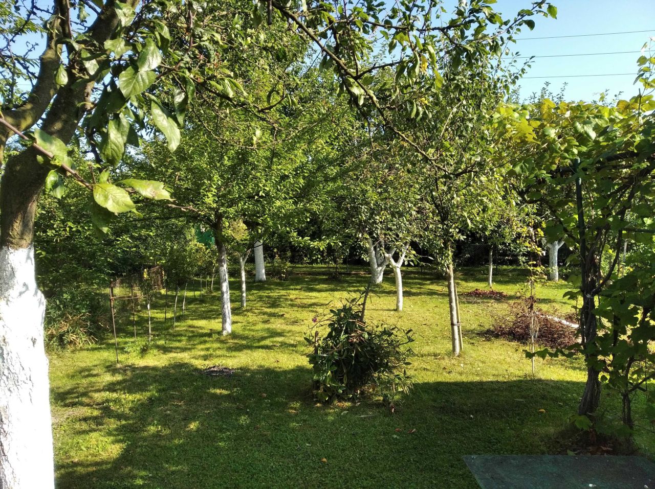 Działka rod Racibórz, ul. Opawska. Zdjęcie 5