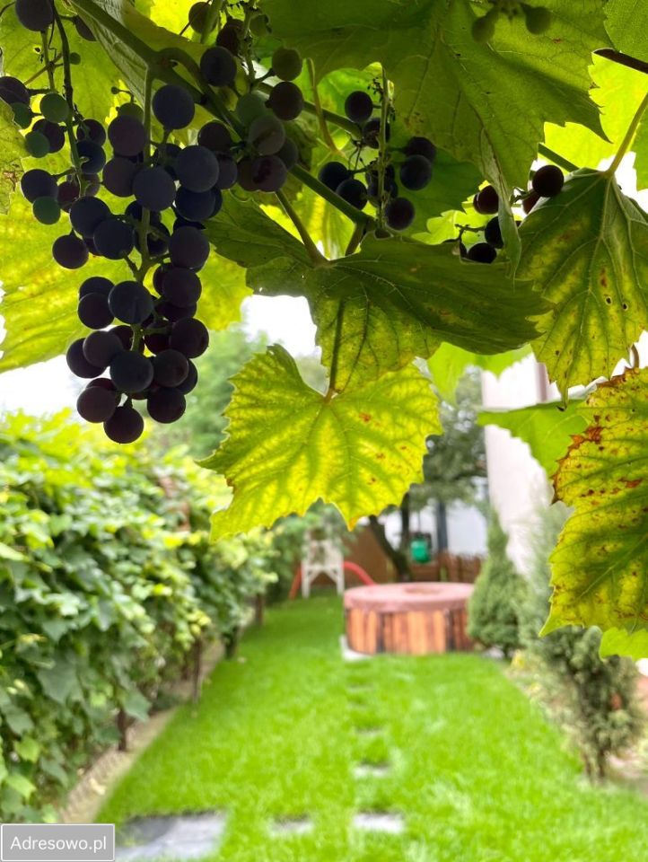 dom wolnostojący, 7 pokoi Siedlce, ul. Ogińskich. Zdjęcie 7