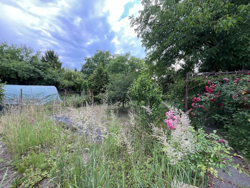 Działka rod Gliwice Sośnica, ul. Dolna. Zdjęcie 7