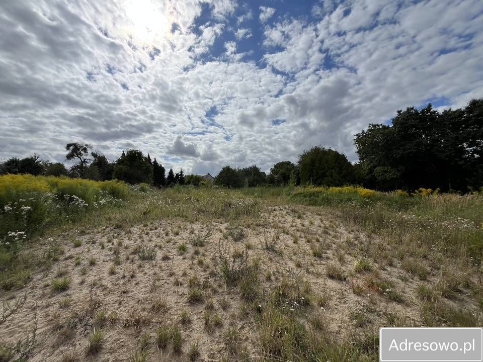 bliźniak Radowo Małe. Zdjęcie 6