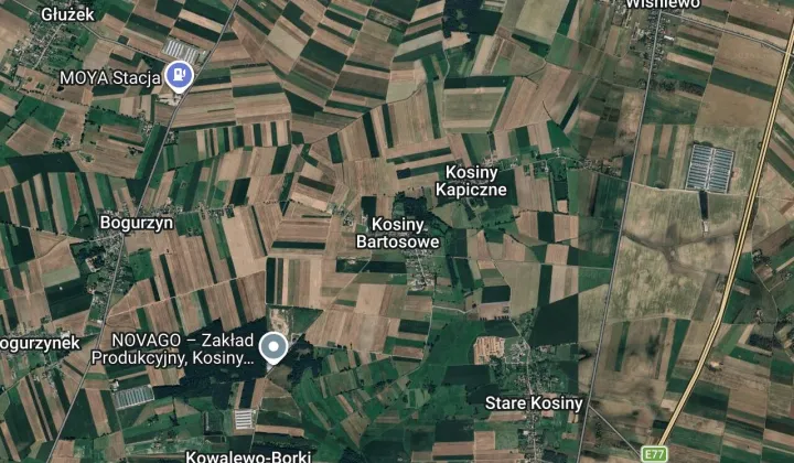 Działka rolna Kosiny Bartosowe